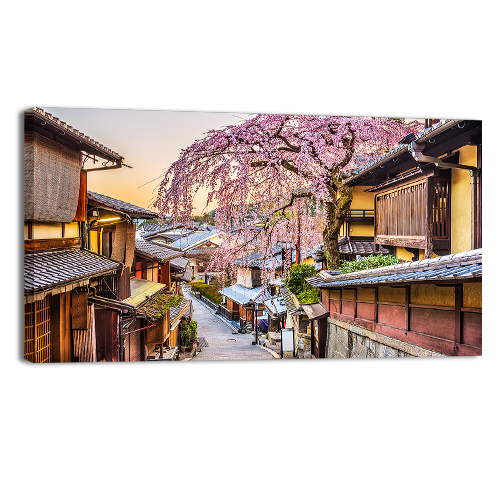 Kyoto in Spring