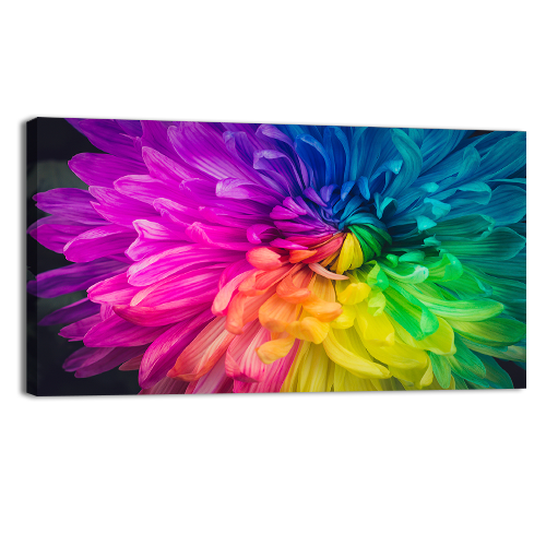 Beautiful flower