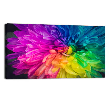 Beautiful flower