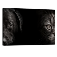Cat and Dog