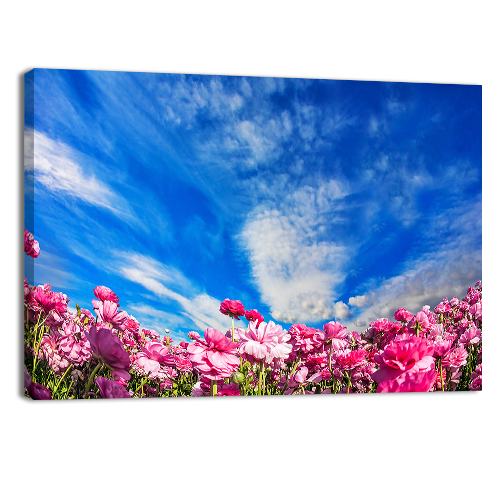 Cloudy and windy day in May