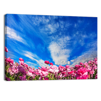 Cloudy and windy day in May