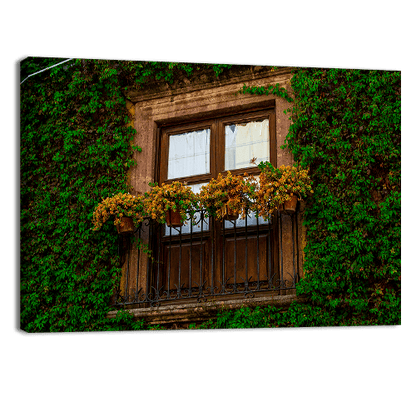 Arquitectura San Miguel de Allende