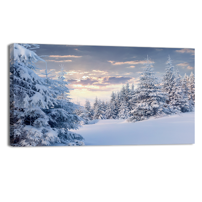 Sunny Winter