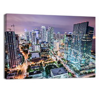 Miami Skyline