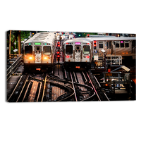 Train on Elevated Tracks