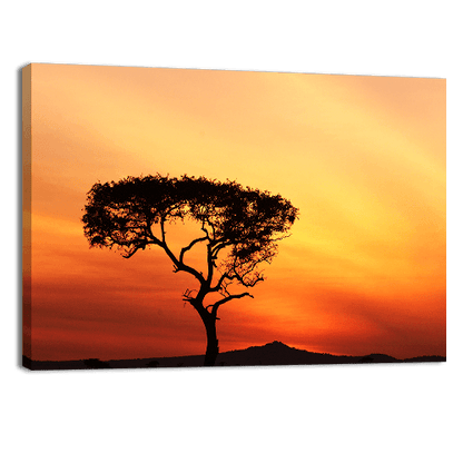 Sunset in a Tree