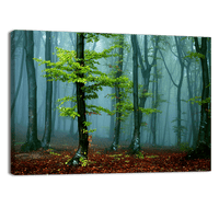 Autumn landscape