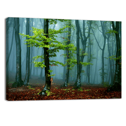 Autumn landscape