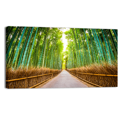 Bamboo Forest of Kyoto