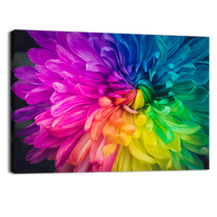 Beautiful flower