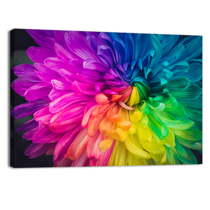 Beautiful flower