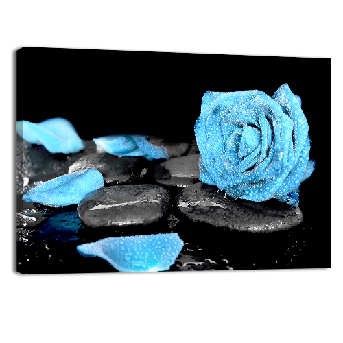 Blue Rose and Black Stones