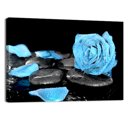 Blue Rose and Black Stones