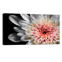 White dahlia