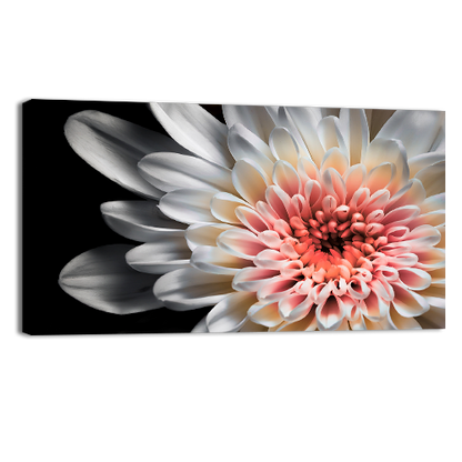 White dahlia