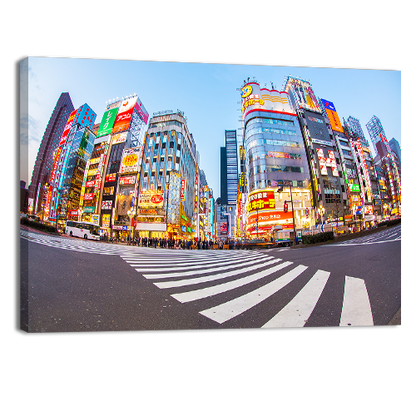 Shinjuku Tokyo Metropolis
