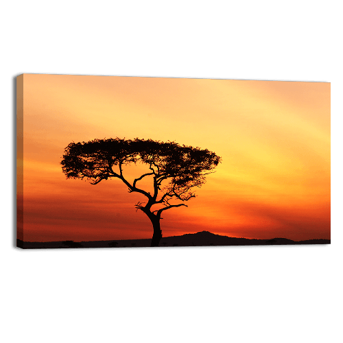 Sunset in a Tree