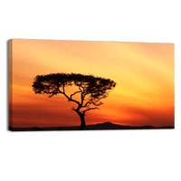 Sunset in a Tree