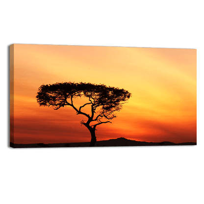 Sunset in a Tree