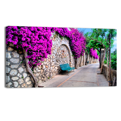 Pathway in Capri