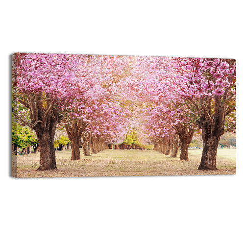 Rosy Trumpet Tree