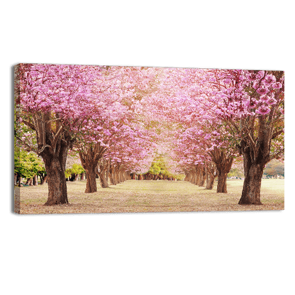 Rosy Trumpet Tree
