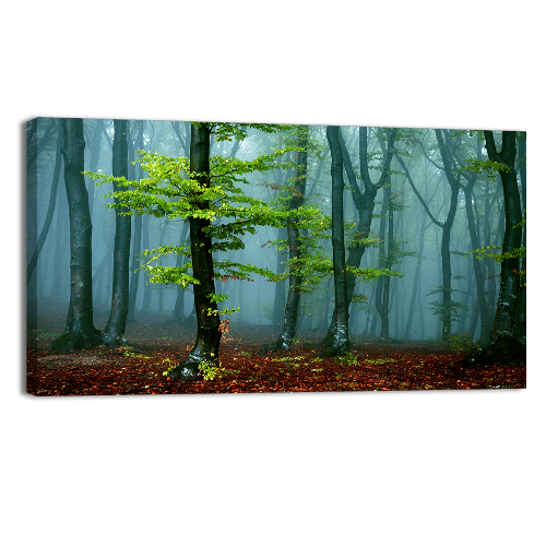 Autumn landscape