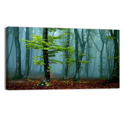 Autumn landscape