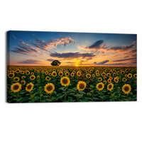 Field of Blooming Sunflowers