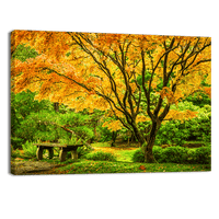 Japanese Maple Fall