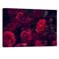 Rose garden