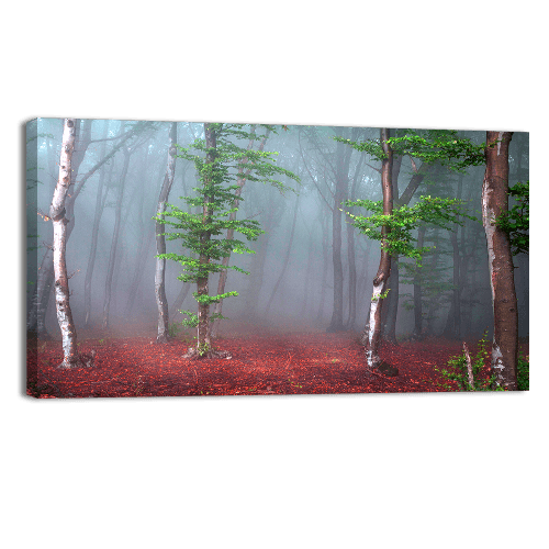 Foggy Mystic