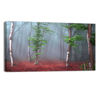Foggy Mystic