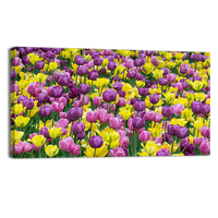 Bed of tulips