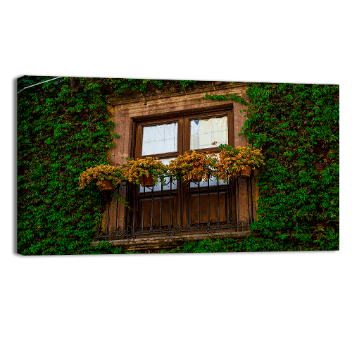 Arquitectura San Miguel de Allende