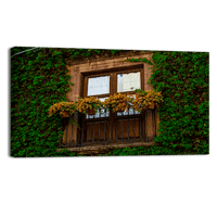 Arquitectura San Miguel de Allende