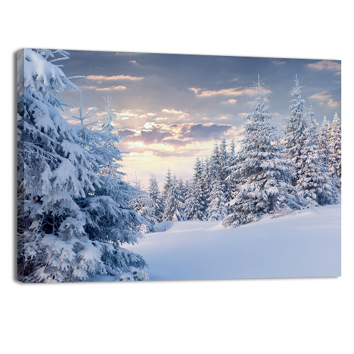 Sunny Winter
