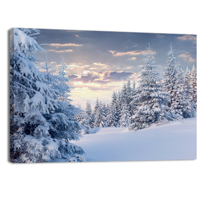 Sunny Winter