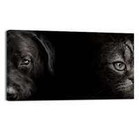 Cat and Dog