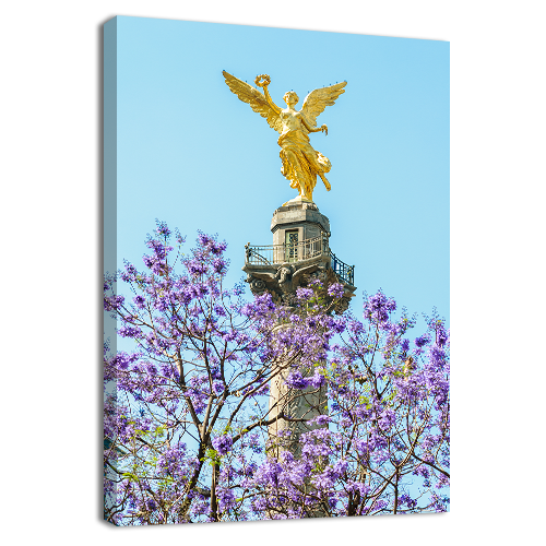 El Angel y La Jacaranda