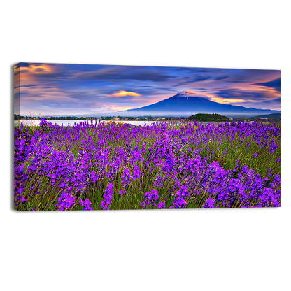 Fiji mountain and Lavander