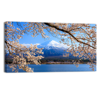 Fuji and Cherry Blossom
