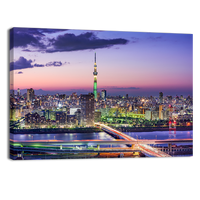 Japan Skyline