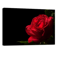 Red Rose Flower