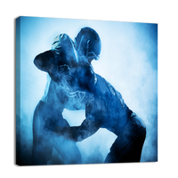 Players Silhouette