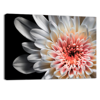 White dahlia
