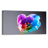 Multi coloured