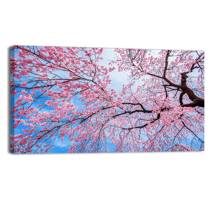 Sakura Season in Spring