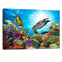 Colorful Coral Reef